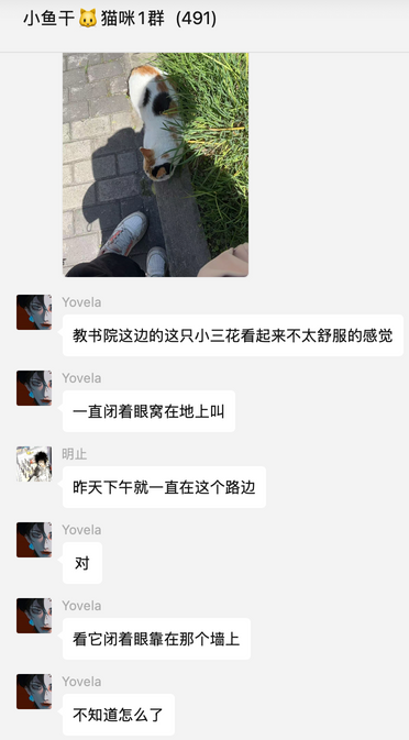 微信群求助讨论截图