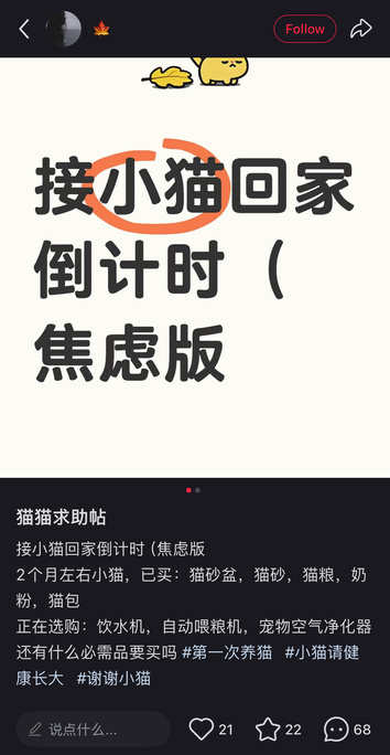 小红书养宠求助帖截图
